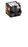 Skinfile