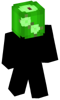 Skinfile