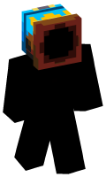Skinfile