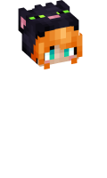 Skinfile