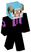 Skinfile