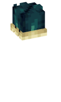 Skinfile