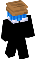 Skinfile