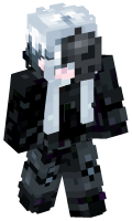 Skinfile