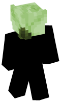 Skinfile