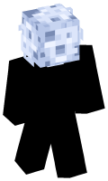 Skinfile
