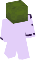 Skinfile
