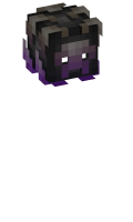 Skinfile