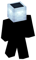 Skinfile