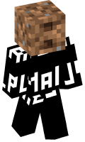 Skinfile