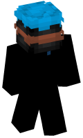 Skinfile