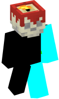 Skinfile