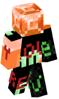 Skinfile