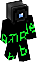 Skinfile