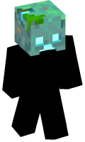 Skinfile