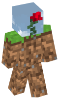 Skinfile