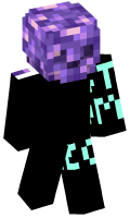 Skinfile