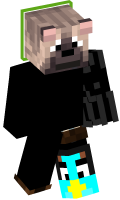 Skinfile