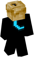 Skinfile