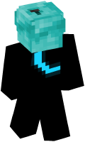 Skinfile