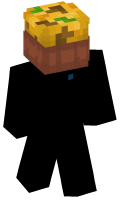 Skinfile