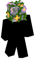 Skinfile