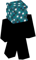 Skinfile