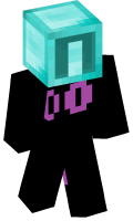 Skinfile