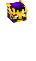 Skinfile