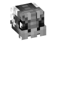 Skinfile
