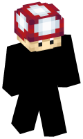 Skinfile