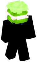 Skinfile