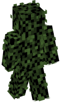 Skinfile