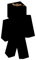 Skinfile