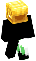 Skinfile
