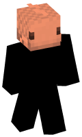 Skinfile