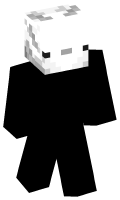 Skinfile