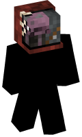 Skinfile
