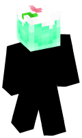 Skinfile