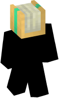 Skinfile