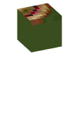 Skinfile