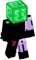 Skinfile