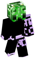Skinfile