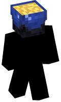 Skinfile