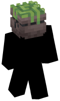 Skinfile