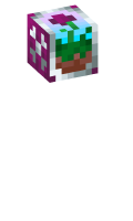 Skinfile