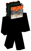 Skinfile