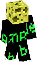 Skinfile