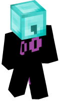 Skinfile
