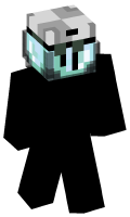 Skinfile